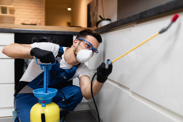 Best Pest Control Near Me in Falls City, OR