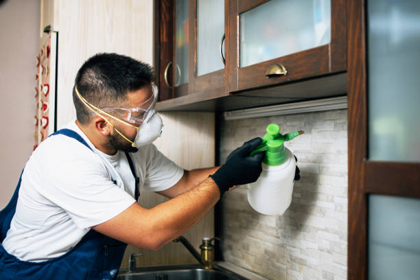 Best Residential Pest Control  in Falls City, OR
