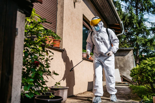 Best Spider Control Near Me  in Falls City, OR