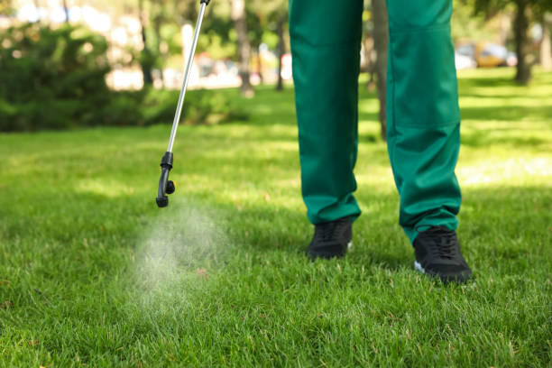 Best Flea Control Services  in Falls City, OR