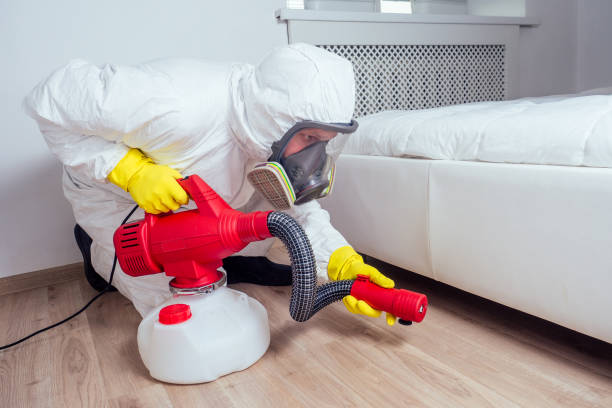 Best Emergency Pest Control  in Falls City, OR