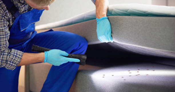 Trusted Falls City, OR Pest Control Experts