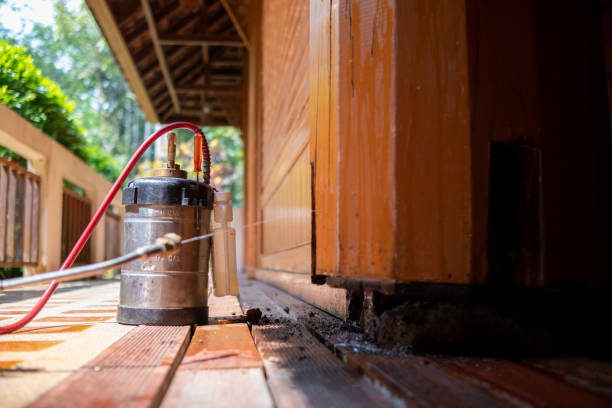 Best Termite Control Services  in Falls City, OR