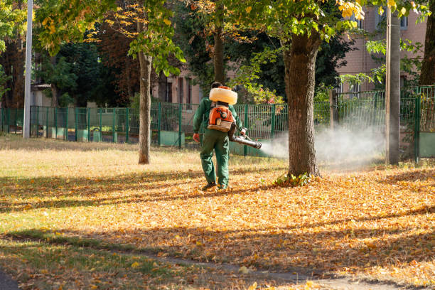 Best Wildlife Control Services  in Falls City, OR