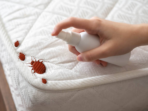 Best Mosquito Control Services  in Falls City, OR