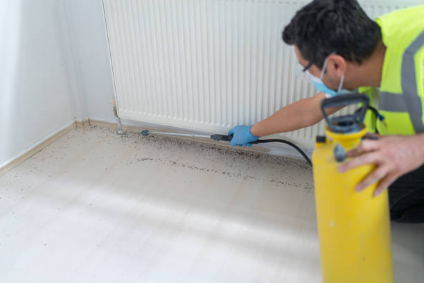 Best Mosquito Control Services  in Falls City, OR